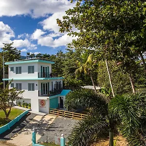 the-beach-pad.top-hotels-puertorico.com/